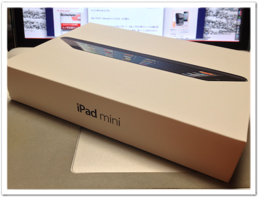 iPad mini